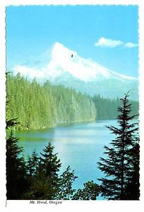 1EF31F79-32B7-422D-B336-092D15CD27F4